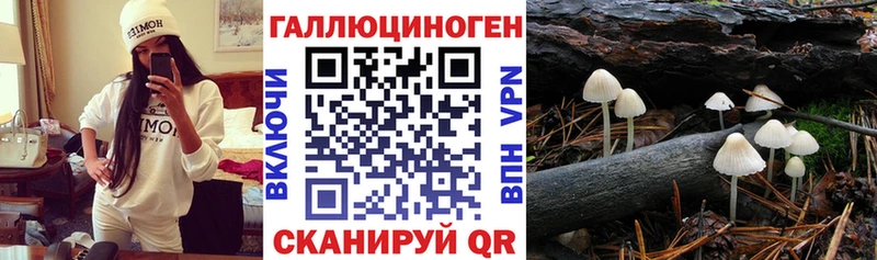 купить наркотики цена  Абдулино  Псилоцибиновые грибы MAGIC MUSHROOMS 